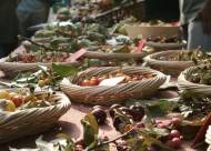 Mostra-mercato Vanzo Floreale 2009